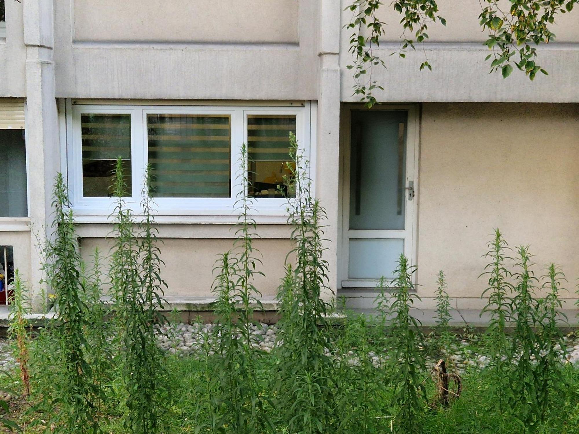 Comfortable Rooms For Working - Levallois Exterior photo